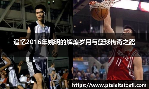 追忆2016年姚明的辉煌岁月与篮球传奇之路